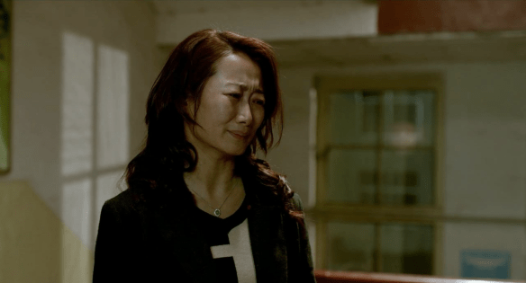 zhao-tao-mountains-may-depart